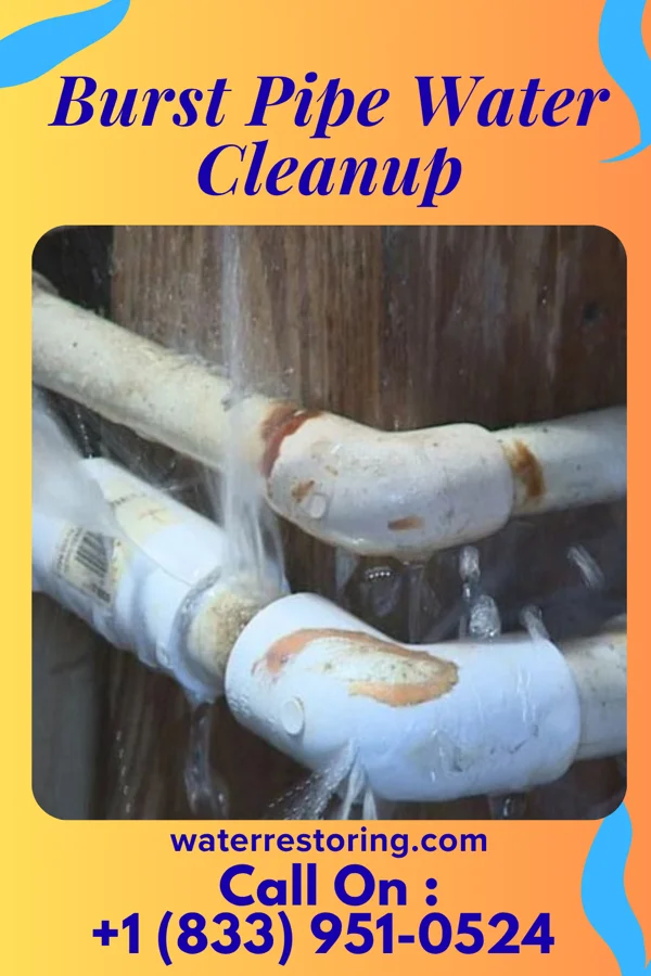 Burst Pipe Water Cleanup in Monessen, PA