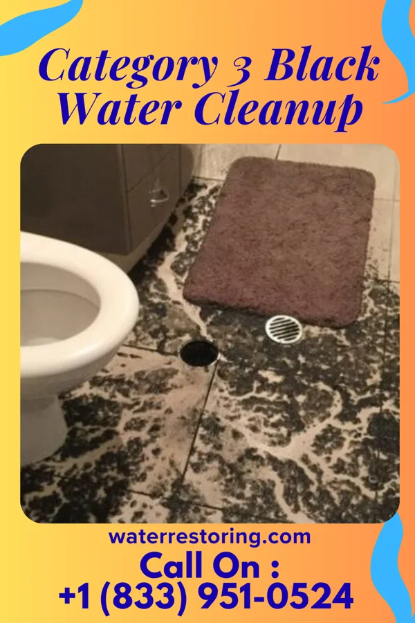 Category 3 Black Water Cleanup in Monessen, PA