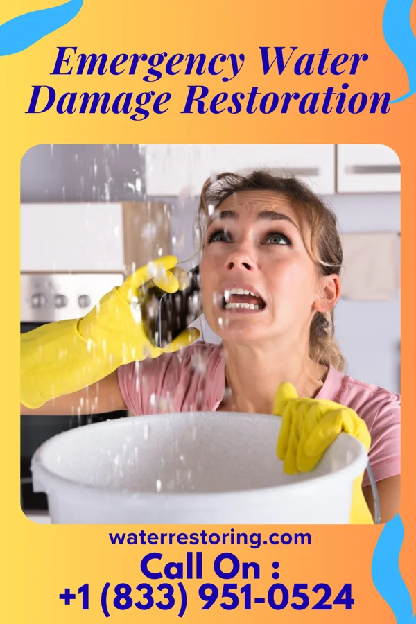Emergency Water Damage Restoration in Monessen, PA