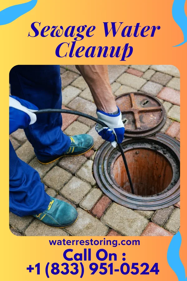 Sewage Water Cleanup in Monessen, PA